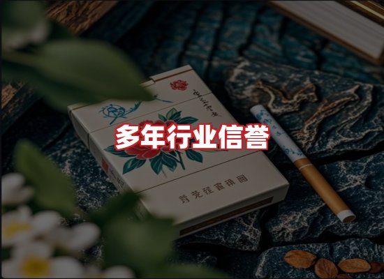 专业团队